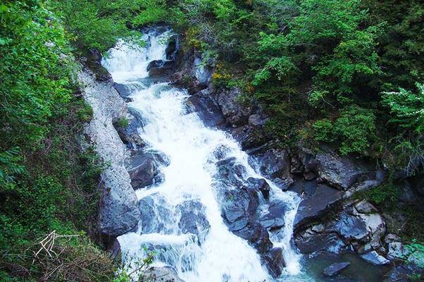 Pantano de Irabia